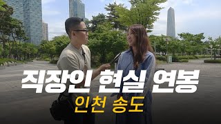 솔직히 연봉 얼마 받으세요 직무 연차별 현실 연봉  인천 송도 [upl. by Odlabu]