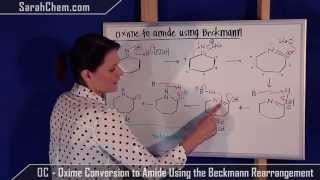 Beckmann Rearrangement  Oxime Conversion to Amide Mechanism [upl. by Eremehc447]