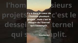 proverbe citationdujour message citation [upl. by Jessika729]