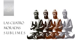 LOS 4 BRAHMA VIHARAS  MORADAS DIVINAS  Metasicologia Budista [upl. by Jordon797]