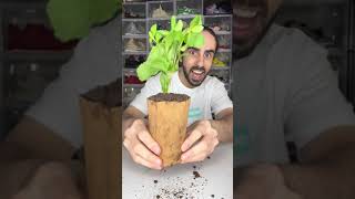 Edible Potted Plant Hack 🪴😳 [upl. by Cassilda791]