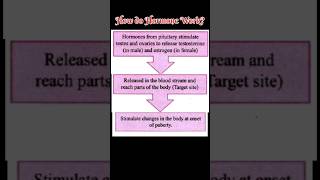 How do Hormones work Class 8 shorts biology [upl. by Yemirej]