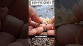 Parte 114  😱 subscribe pescaria pescador shorts youtube peixe recap curiosidades [upl. by Tnarb832]