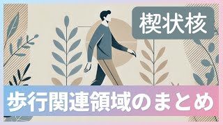 【歩行障害】楔状核の機能歩行誘発野とは？リハビリテーション [upl. by Nednal]