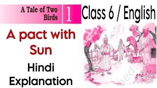 Class 6 English Chapter 1 Explanation  Class 6 English A Tale of Two Birds  A pact with Sun [upl. by Akiehs]