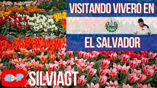 VISITANDO VIVERO EN EL SALVADOR [upl. by Zaragoza]