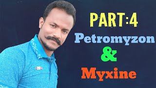 Petromyzon and Myxine  Part 4 Comparision By Anand sir [upl. by Atneciv]