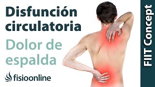 Disfunciones del sistema circulatorio y dolor de espalda cervicales y trapecios [upl. by Ahsinit]