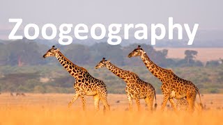 Zoogeography [upl. by Reis]