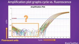 Baselines in RealTime PCR  Ask TaqMan® Ep 5 [upl. by Gilli]