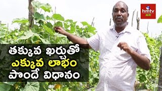 Cultivating Yellow Cucumber with Low Investment  Farmer Ravi  hmtv Agri [upl. by Aroved]