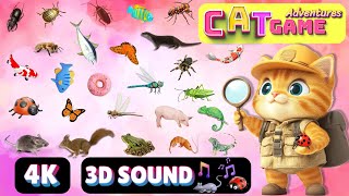 CAT Games Adventures  Ultimate Cat TV Compilation Vol 28  SPECIAL EPISODE 8 HOURS🐝🐞🦋🦎🦜🐜🐭🧵 NO ADS [upl. by Amarillis738]