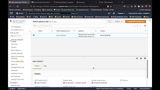 VPC  DHCP Option Set [upl. by Keemahs574]