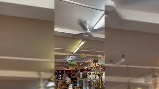 Four Seasons Venair IndustrialCommercial Ceiling Fans Canada in a store [upl. by Ayotol966]