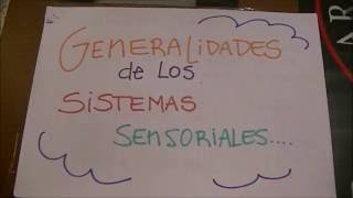 Generalidades de los sistemas sensoriales [upl. by Landsman]