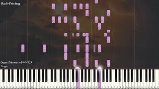 BachFeinberg  Largo from Organ Triosonate BWV 529  Paino Synthesia [upl. by Aylatan]