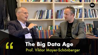 Big Data And AI  Is The Hype Justified with Oxford Professor Viktor MayerSchoenberger [upl. by Oeht176]