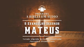 O Evangelho de Mateus  A Bíblia Falada e Dramatizada na Versão ARA  A Bíblia em Áudio  4066 [upl. by Melesa]