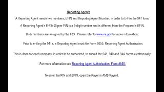 AMS Payroll  Reporting Agents  94X E Filing Setup [upl. by Eustasius360]