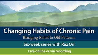 Changing Habits of Chronic Pain with Raz Ori [upl. by Perkin460]