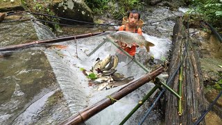 Highland boy khai make fish traps under the waterfall harvest big carp to sellfishing skills [upl. by Tracy]