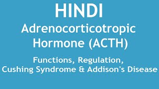 Adrenocorticotropic Hormone ACTHFunctionsRegulationCushing Syndrome amp Addisons Disease HINDI [upl. by Tace]