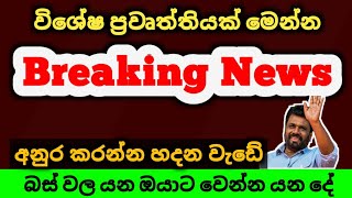 ආයෙ ඉංදියාවෙන් Bus ගේන්නෙ නෑ🔥 ජනපති අනුර කුමාර කියයි  Wahana anayanaya 2024  වාහන ආනයනය 2025 [upl. by Mavilia]