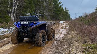 Spring Is HERE Yamaha Grizzly 700 Trail Ride [upl. by Anilas522]