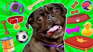 ðŸ¤‘ COMPRO TODO LO QUE TOQUE MI PERRO ðŸ¶ Con mis Adorables Perritos Pug [upl. by Rapsac]