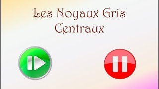 Neurofacile 7  Les noyaux gris centraux [upl. by Wane]