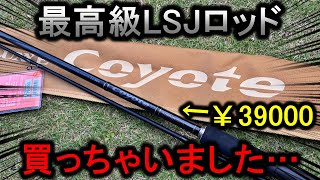 最高級ライトショアジギングロッド購入…飛び跳ねまくる青物を早速仕留める！ [upl. by Ettellocin]