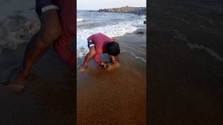 Catching Mole Crabs with Empty Hand fishing fishingvideos thoondilulagam seafishing [upl. by Ardene]