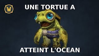 Une tortue a atteint locéan [upl. by Gustie]