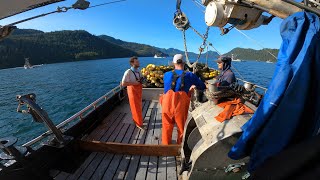 Commercial Fishing Alaska  Complete Set Beginning to End [upl. by Troyes]