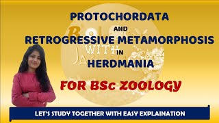 PROTOCHORDATES AND RETROGRESSIVE METAMORPHOSIS IN HERDMANIA BSC ZOOLOGY 1 YEAR BIOLOGYWITHJAGRITI [upl. by Novj391]