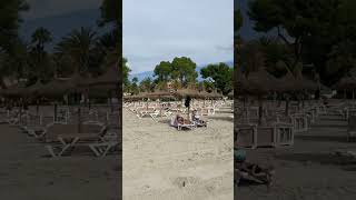 Alcudia beach September UPDATE [upl. by Thurmann155]