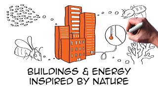 5 amazing biomimicry examples providing real sustainability solutions  Architecture Building Energy [upl. by Lyram842]