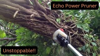 Echo Power Pruner slicing through 5quot rounds [upl. by Janaya446]