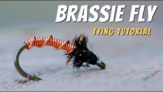 Brassie Fly Pattern Fly Tying Tutorial [upl. by Yretsym120]