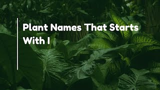 Plant Names That Starts With I [upl. by Laehctim]