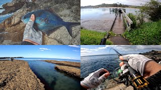 Episode 7 Iso fishing at Weiti Wharf × Arkles Bay × flashback session [upl. by Nosnibor654]