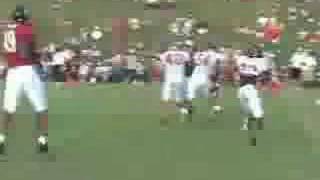 Atlanta Falcons TC Fight [upl. by Curren40]