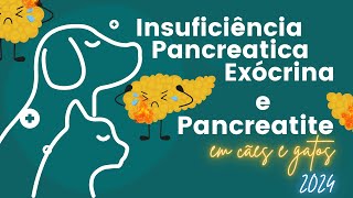 INSUFICIÊNCIA PANCREATICA EXÓCRINA E PANCREATITE EM CÃES E GATOS 2024 [upl. by Eidnalem315]