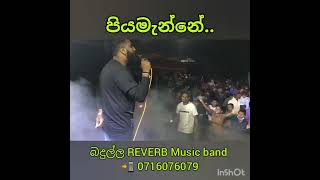 Piyamanne Live Cover  Badulla REVERB [upl. by Ahsimat894]