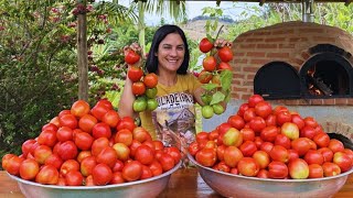 Temporada de tomates a fruta mais versátil da estação [upl. by Sethi383]