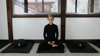 Zen Meditation Instruction How to Meditate [upl. by Tobe]