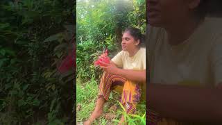 Drunk Girl Tries Kasippu – Sri Lanka’s Local Liquor 🍹 Cheers Alcohol FunnyMoments Shorts arack [upl. by Aizti208]