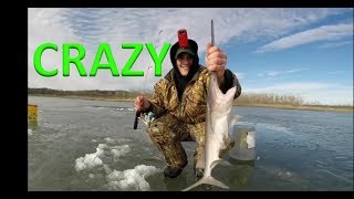 UNREAL VIDEO 2 Paddlefish Caught Ice Fishing [upl. by Yniar]