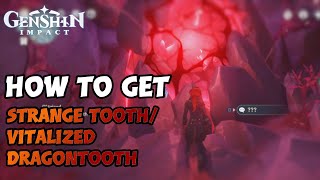 HOW TO GET STRANGE TOOTH amp VITALIZED DRAGONTOOTH  Genshin Impact [upl. by Haldeman798]