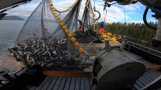 Alaska Commercial Salmon Fishing B2B2B Seining Sets  ALL GAS NO BREAKS BAYBEE [upl. by Anikehs255]